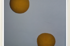 2016-01-08 14.21.38